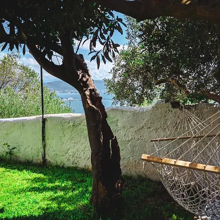 Villa Delle Agavi X 2 Prázdninový dům Vietri